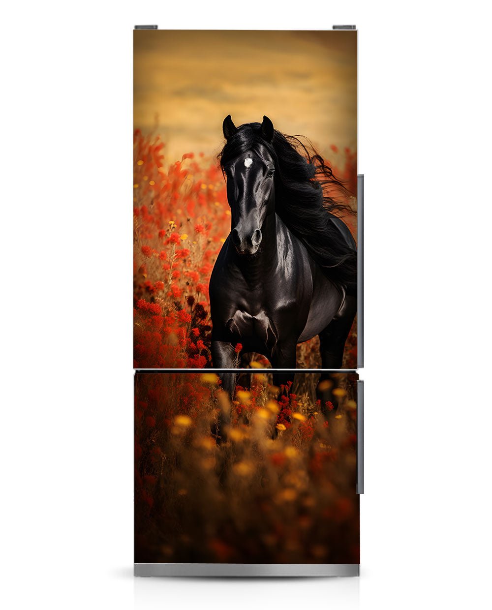 Black Arabian Horse