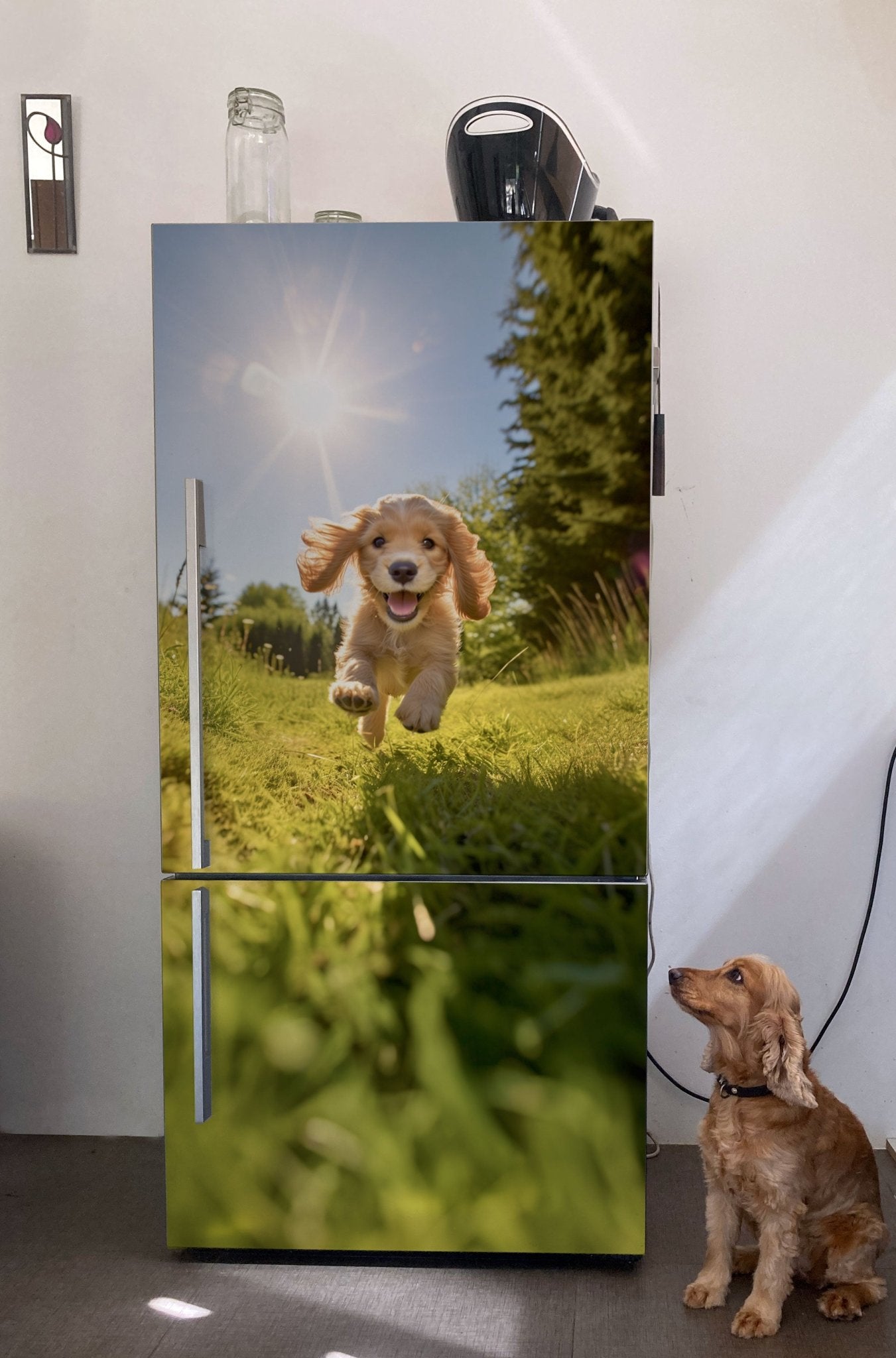 Custom designed magnet