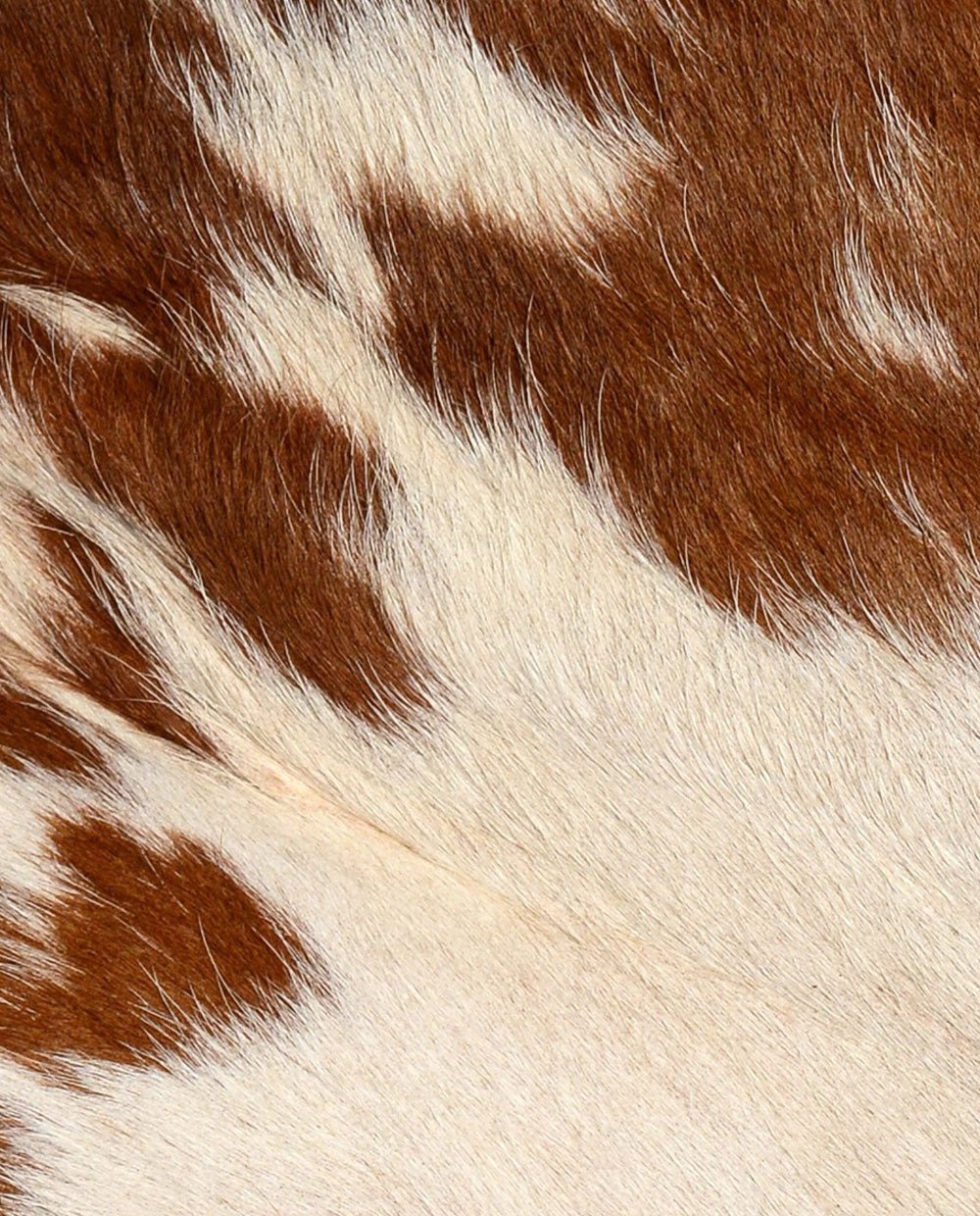 Piel De Vaca Marrón