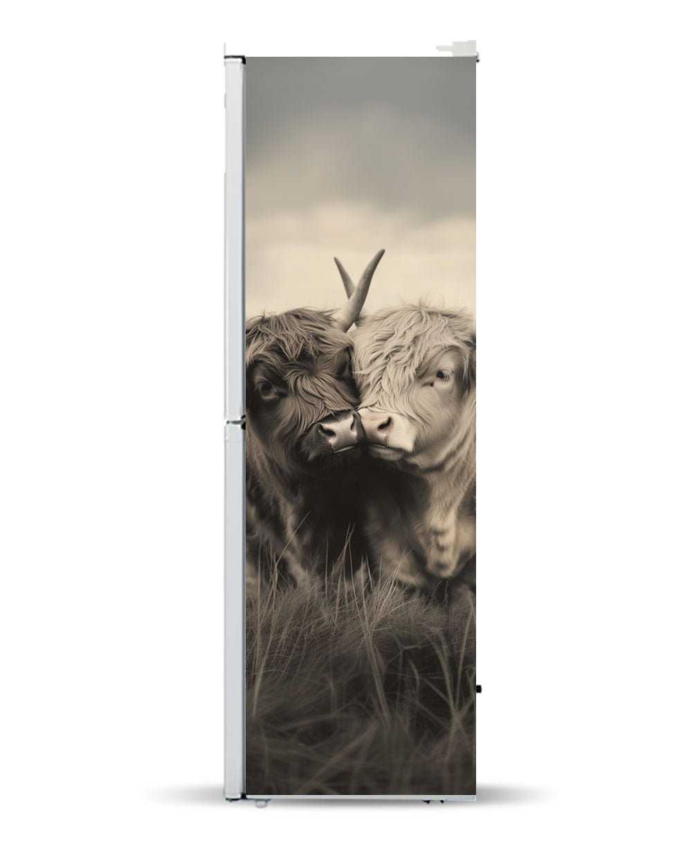 Cow couple