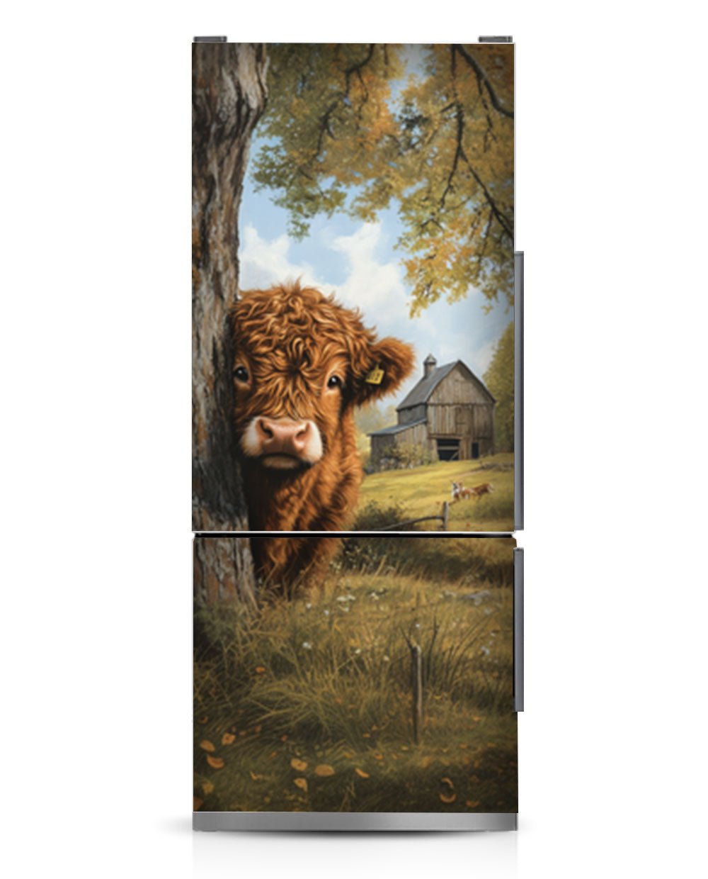 Highland calf illustration