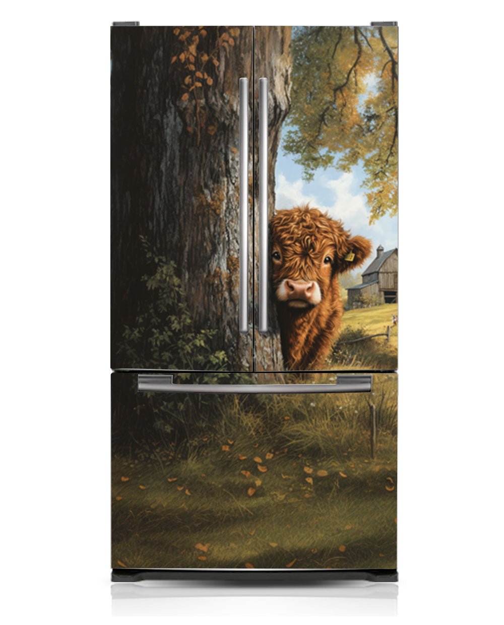 Highland calf illustration