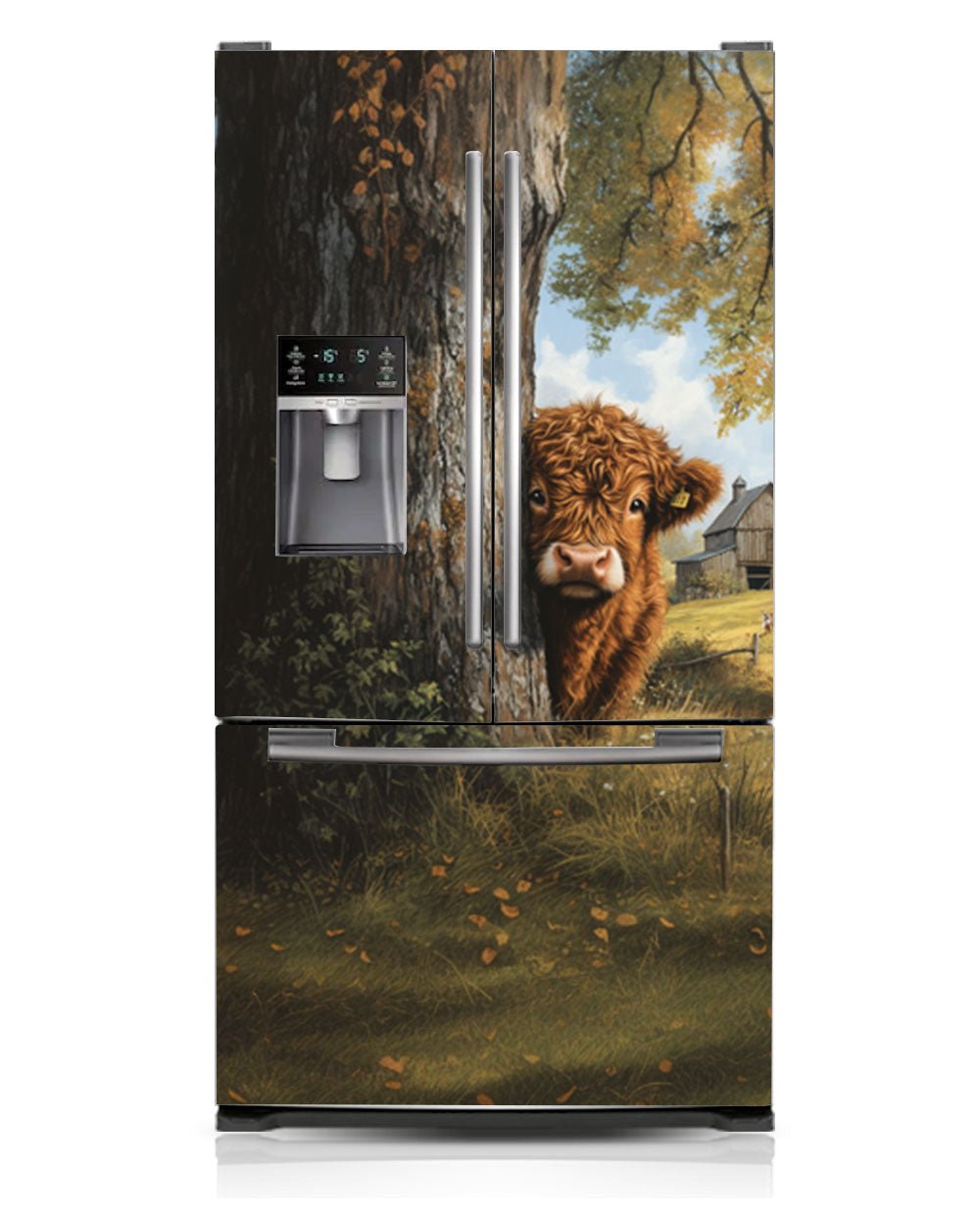 Highland calf illustration