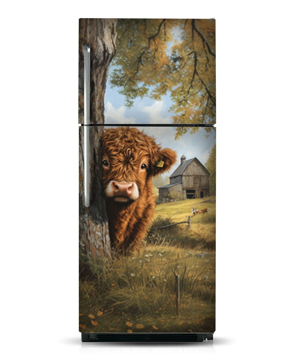 Highland calf illustration