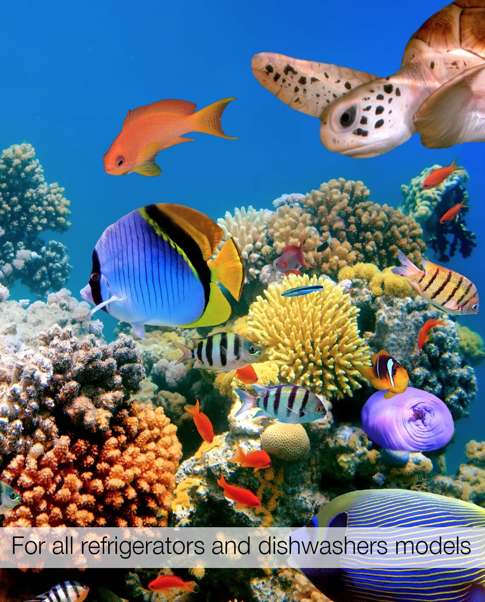 Magnetic Refrigerator & Dishwasher Skins Kudu Magnets