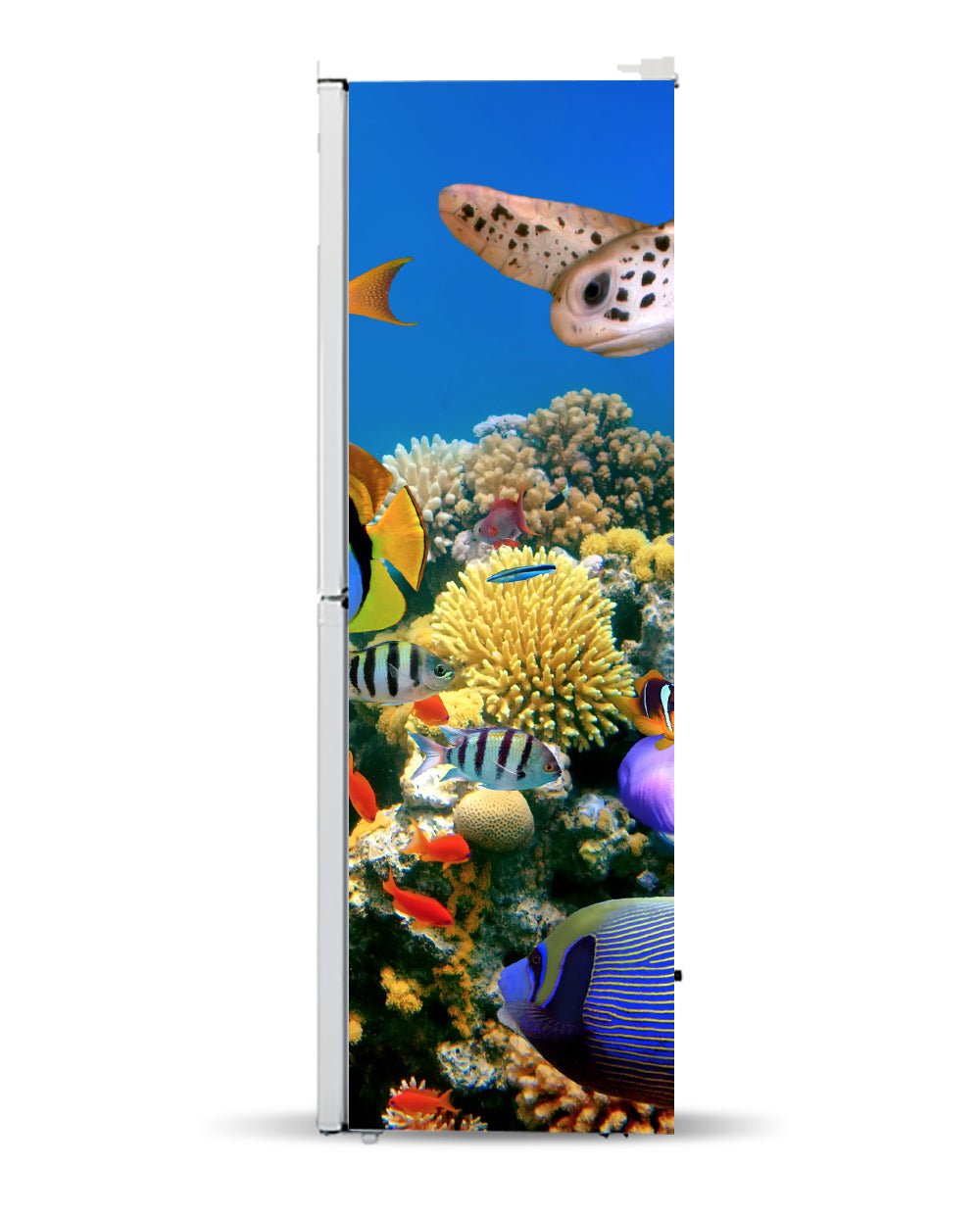 Aquarium