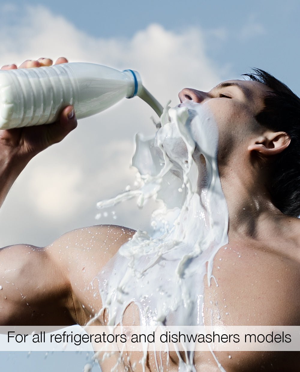 Magnetic Refrigerator & Dishwasher Skins Kudu Magnets