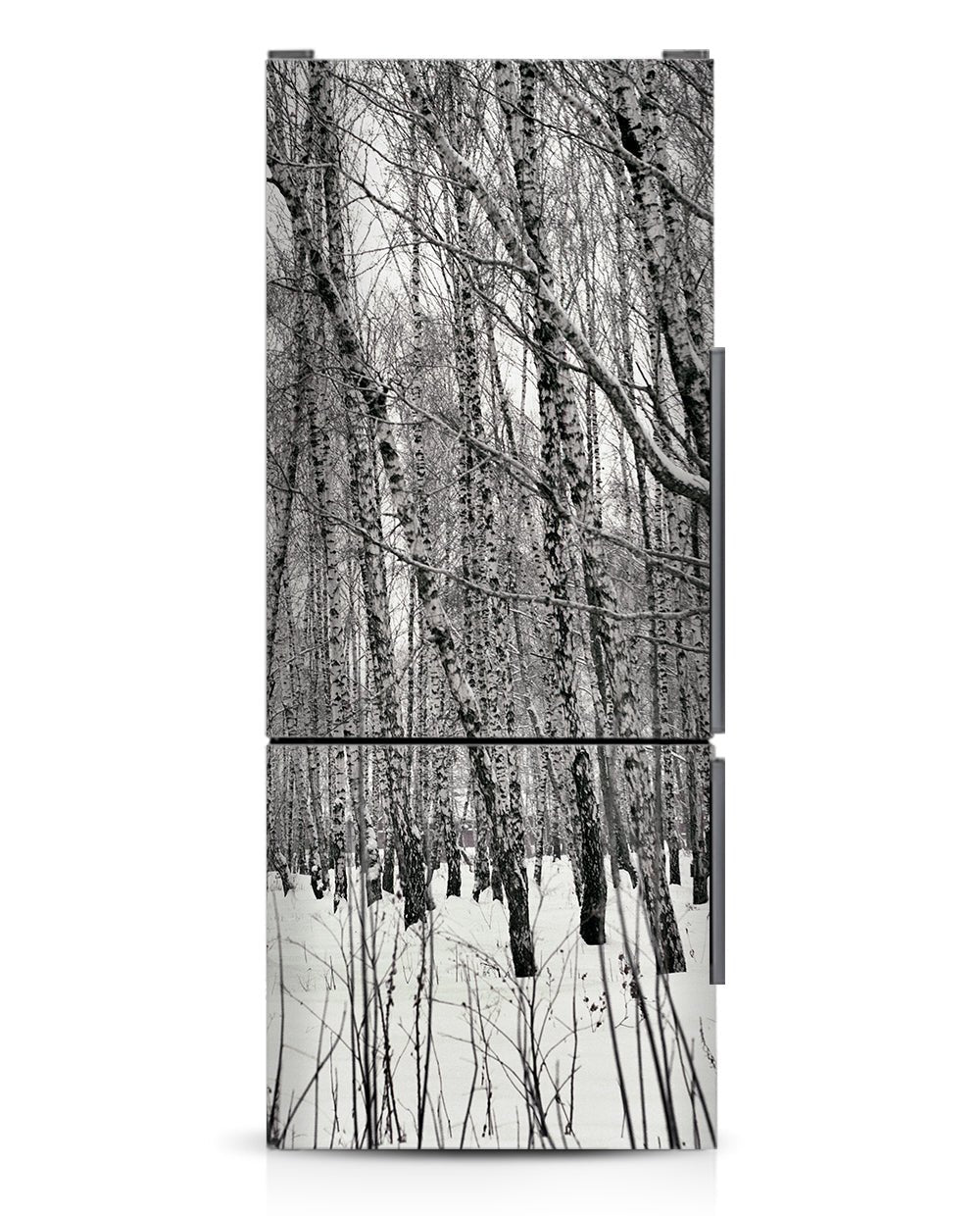 Winter birches