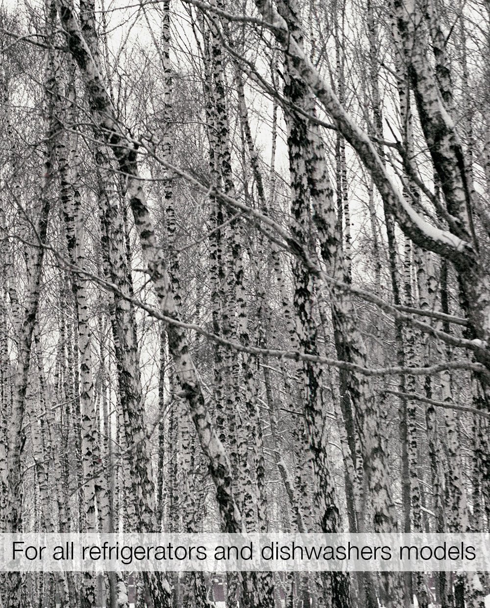 Magnetic Refrigerator & Dishwasher Skins Kudu Magnets