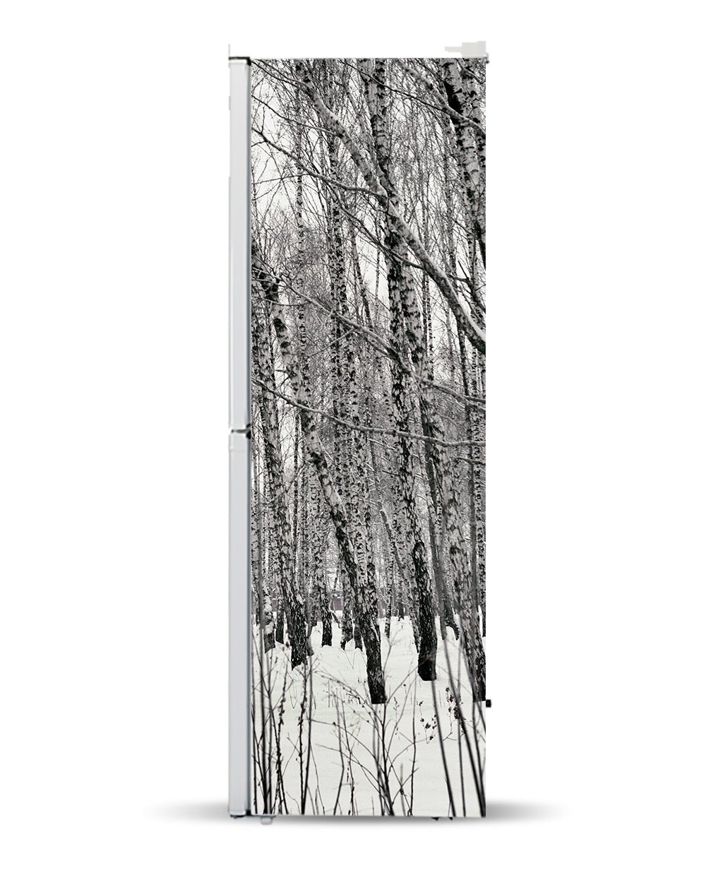 abedules de invierno