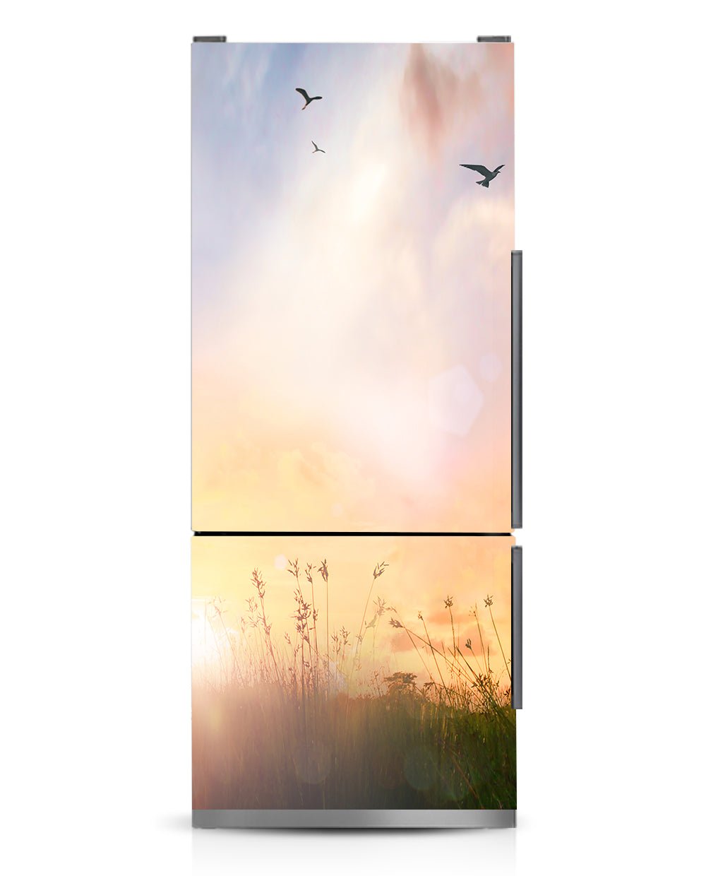 Morning in the field