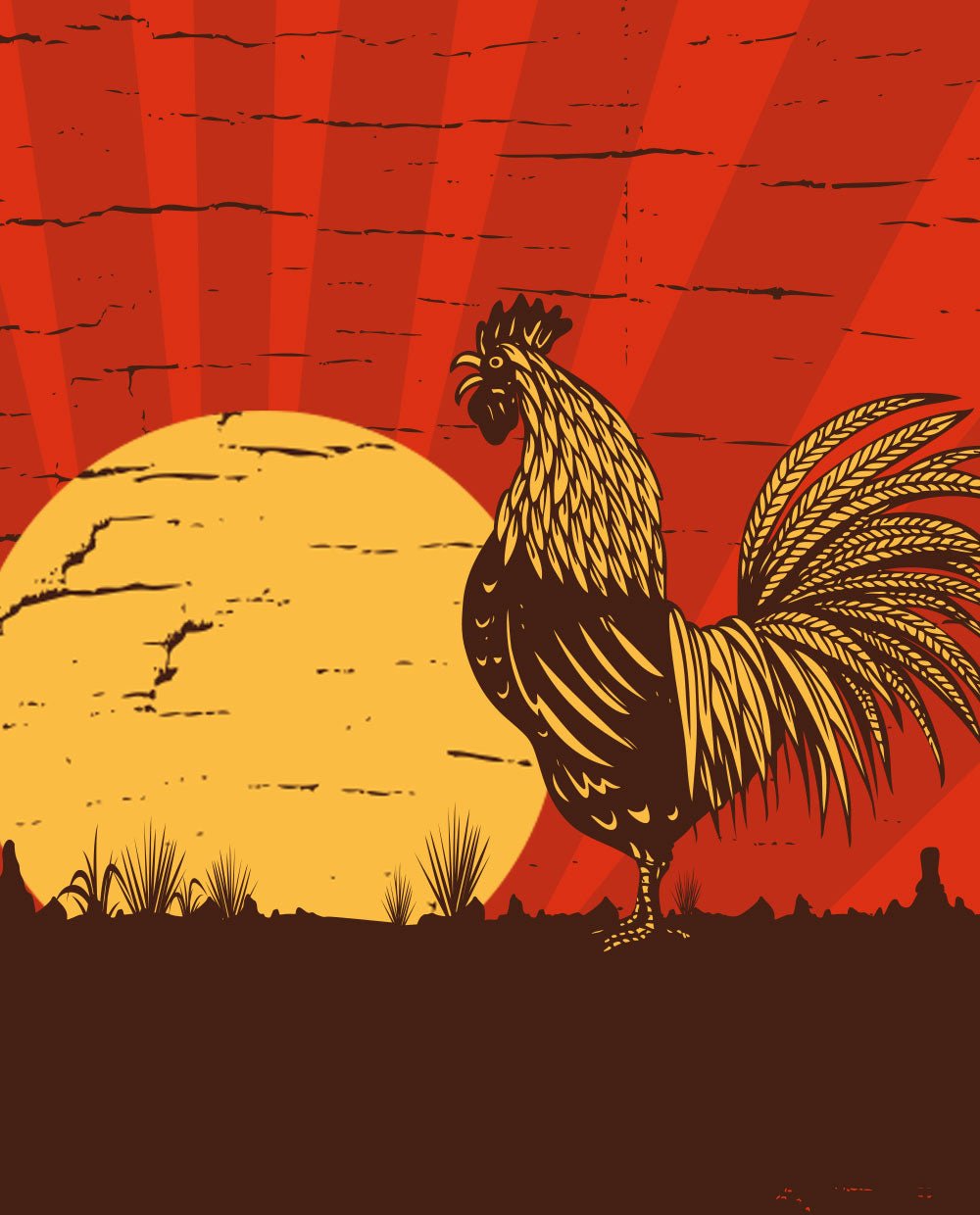 Rooster illustration