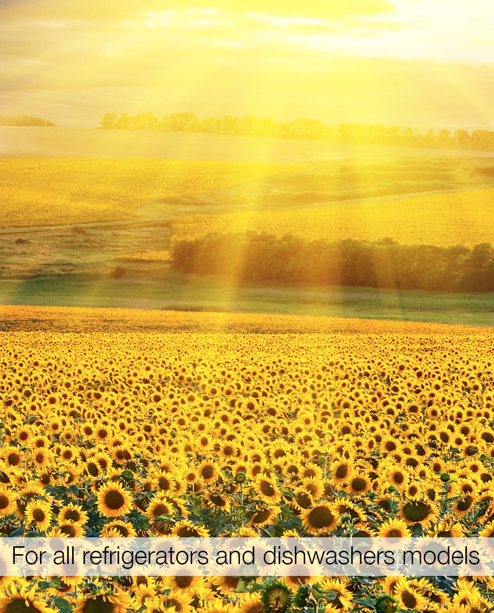 Magnetic Refrigerator Skins Kudu Magnets