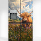 Highlander in Flowers