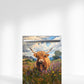 Highlander in Flowers