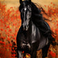 Black Arabian Horse