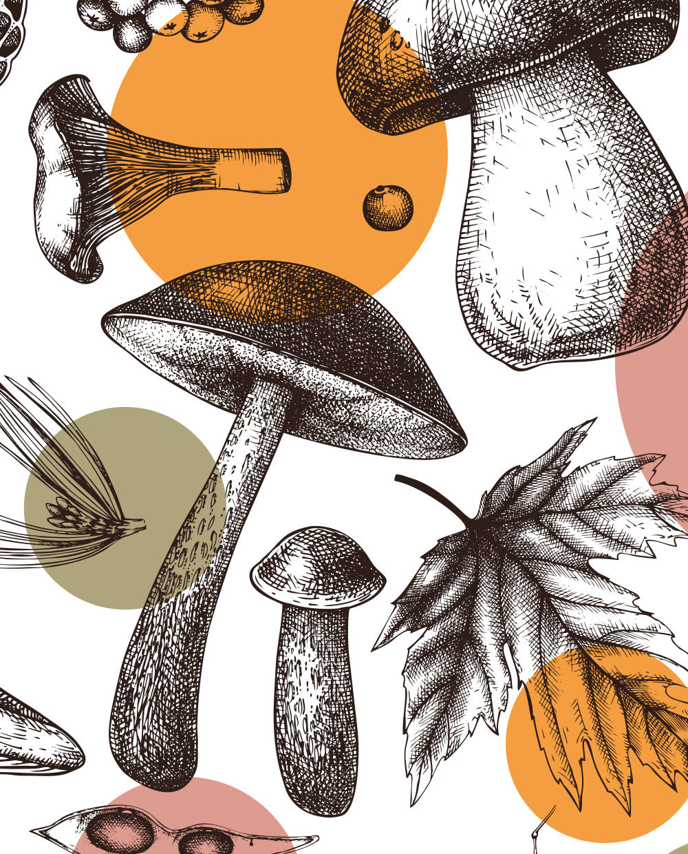 Mushrooms illustration