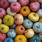 Colorful pumpkins