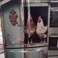 Chicken coop for french door