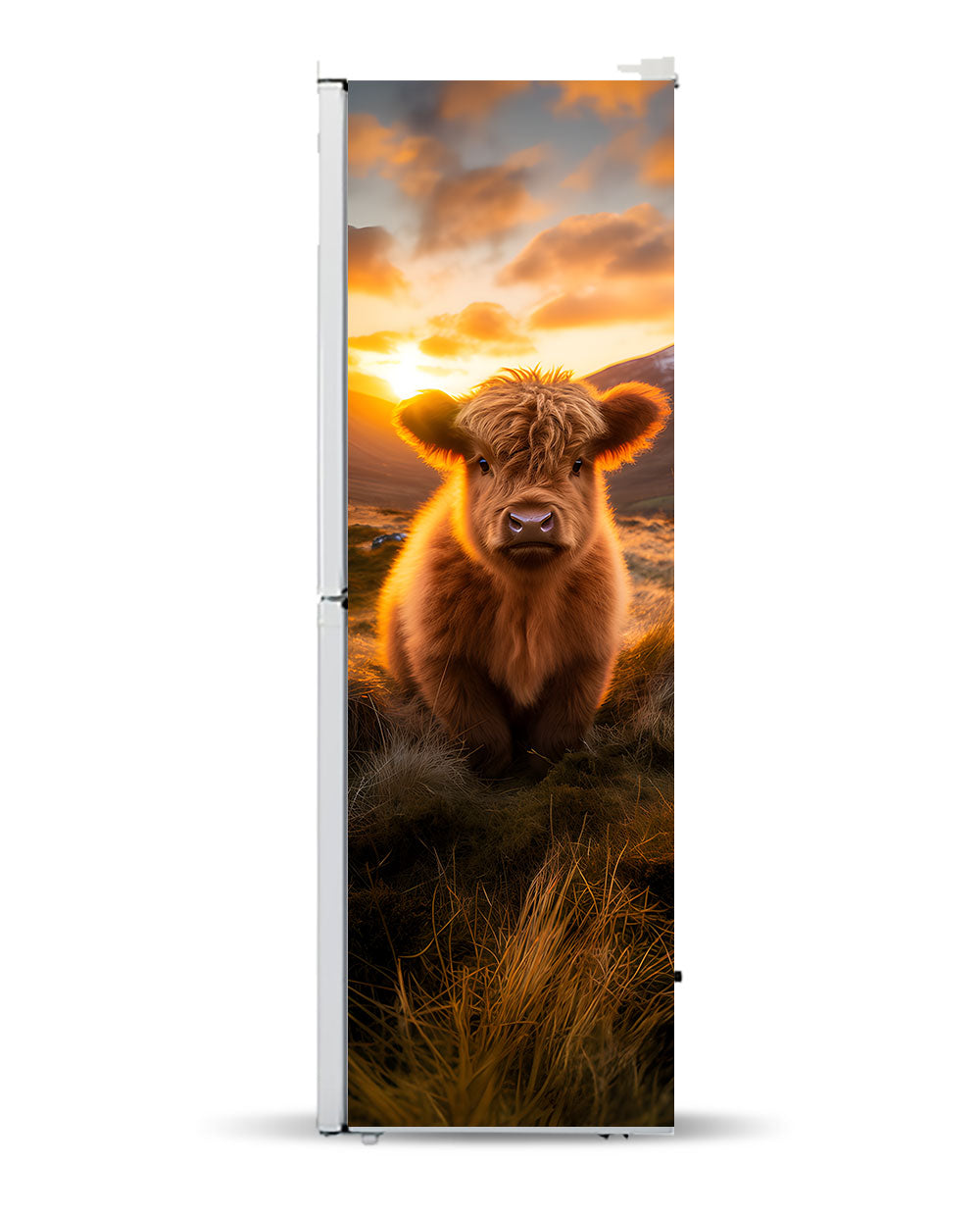 Highland Cow calf full cover magnet wrap – KUDUmagnets