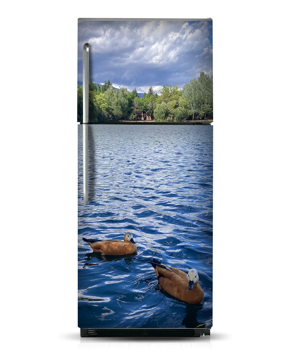 patos en el lago