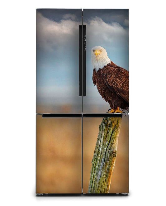 American Eagle