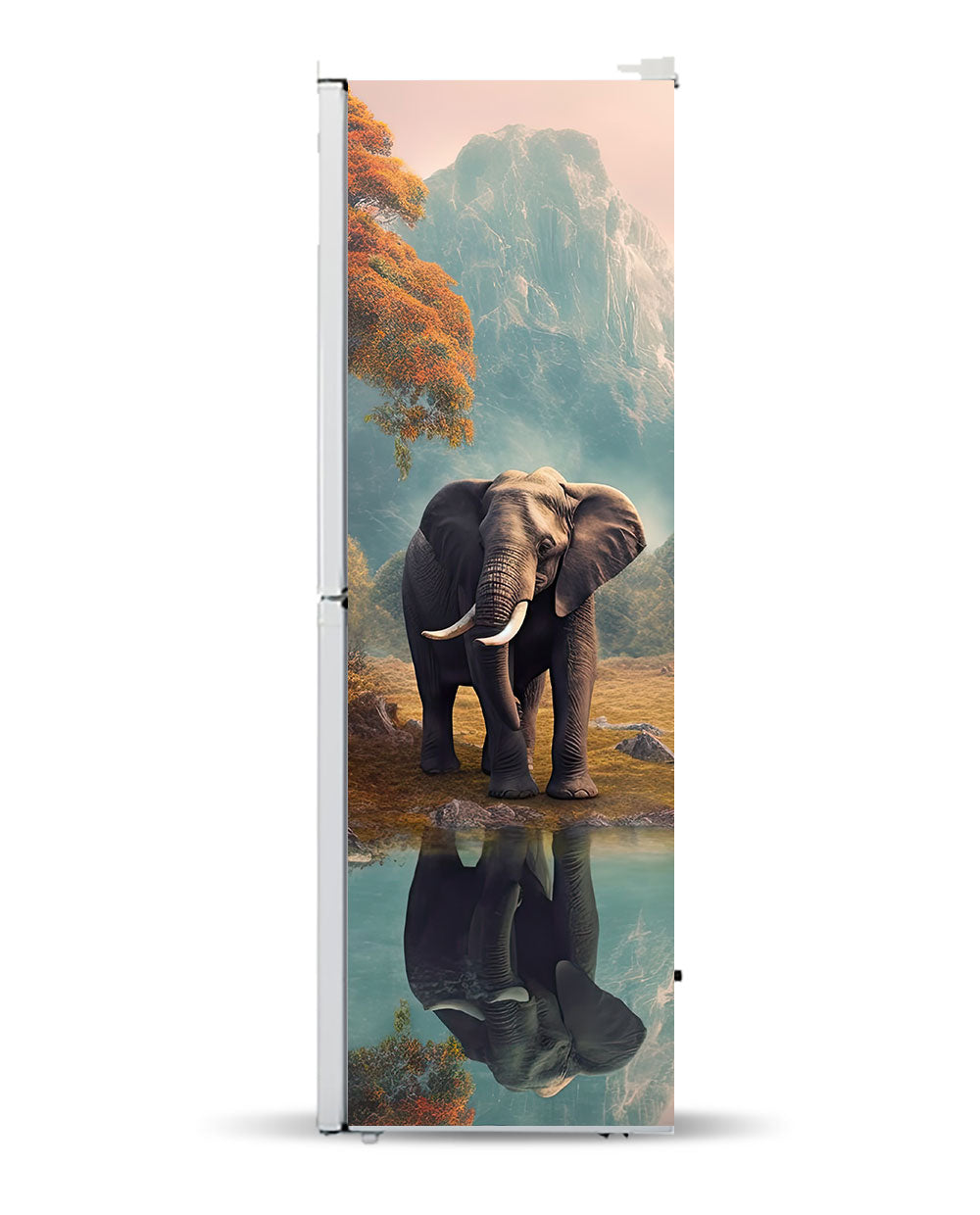 Elefante colorido
