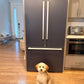 Sherwin Williams Gale Force