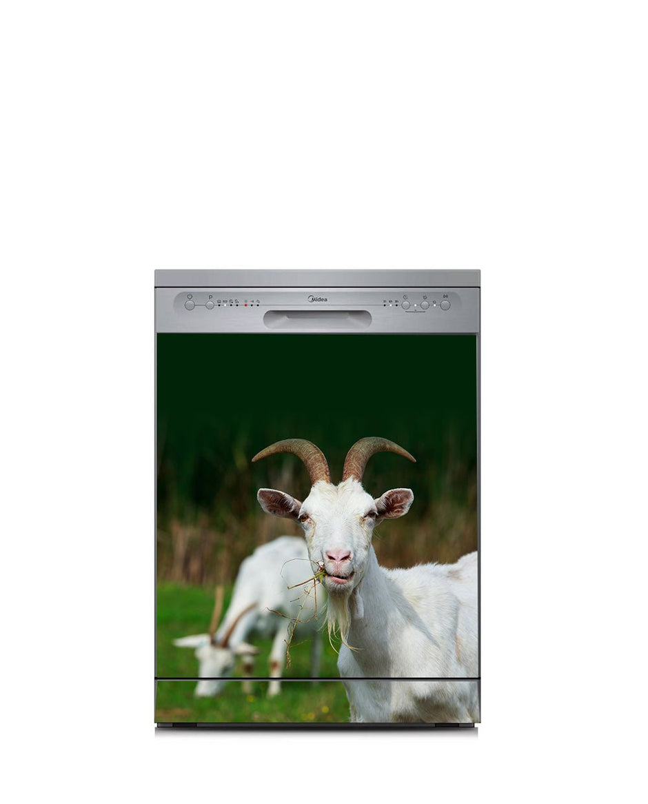Dishwasher magnetic covers – Page 13 – KUDUmagnets