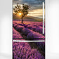 Lavender Field Fridge Magnet Cover