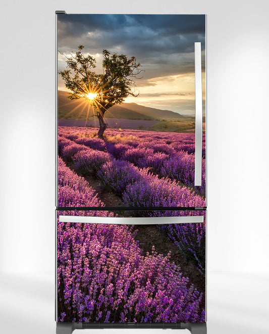 Lavender Field Fridge Magnet Cover