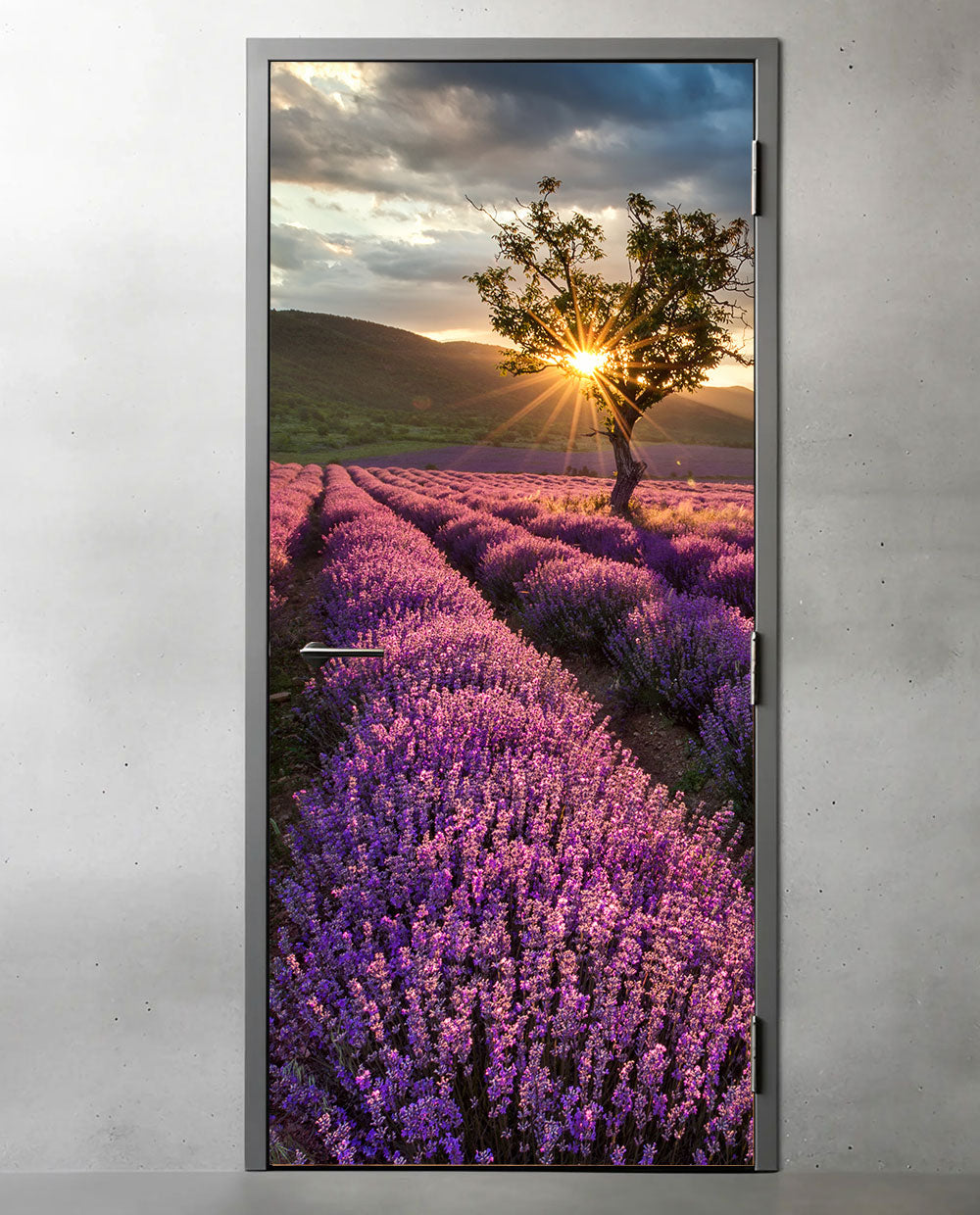 Lavender Field Fridge Magnet Cover