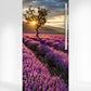 Lavender Field Fridge Magnet Cover