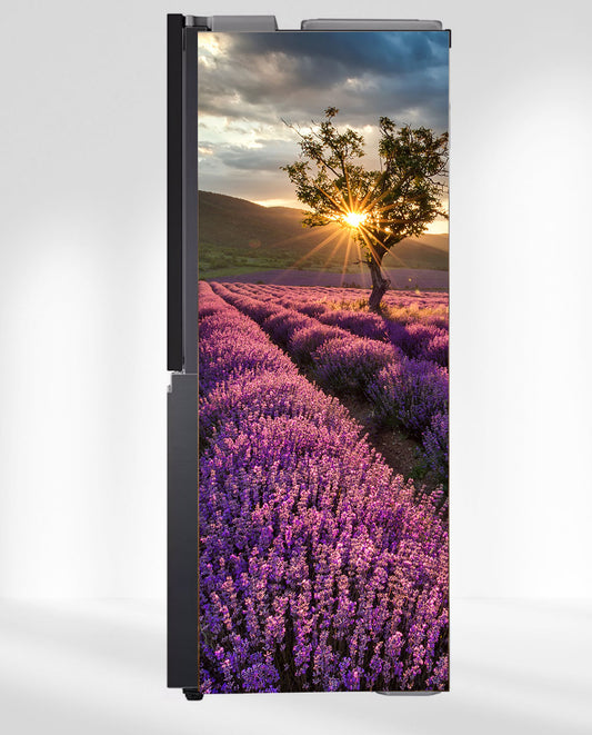 Lavender Field Fridge Magnet Cover