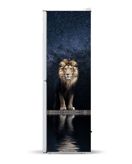 Night Lion