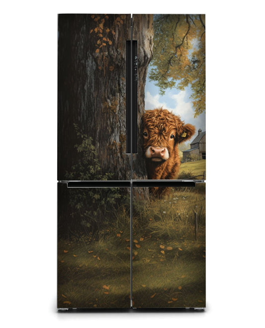 Highland calf illustration