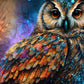 Magical owl Illustration