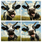 funny cow posters