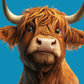 Highlander cow posters