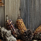 Pumpkins on wood