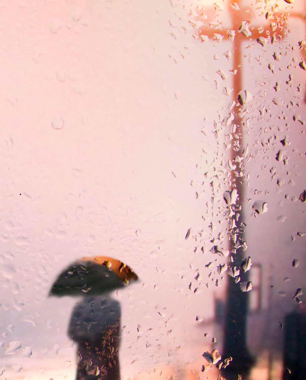 Raining man