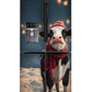 Jolly cow with a scarf