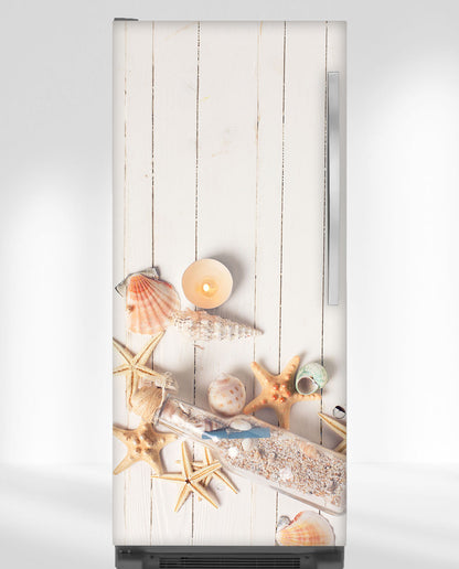 Seashells