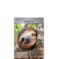 Little sloth