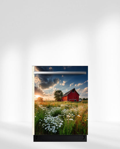 Summer Barn