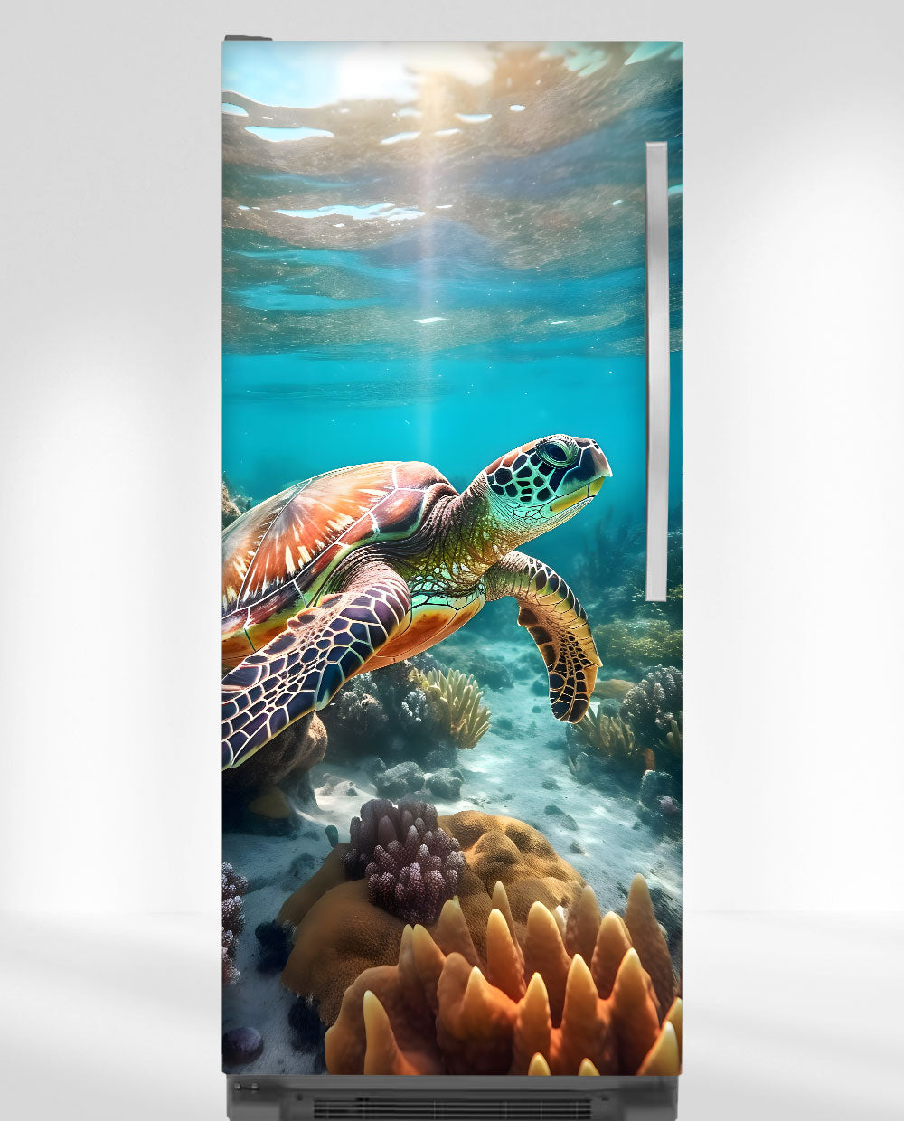 Turtle
