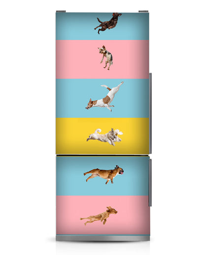Jumping dogs