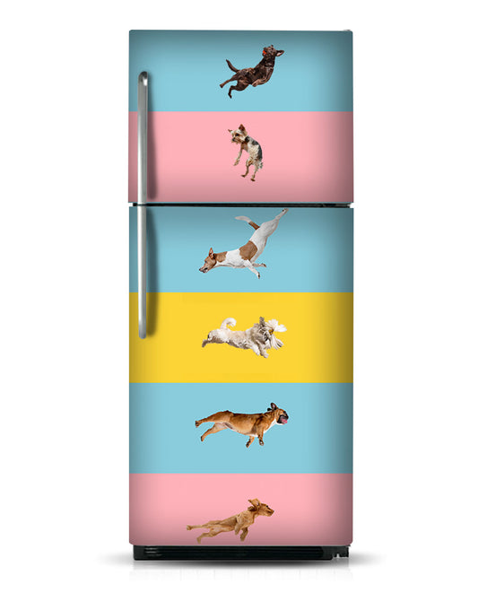 perros saltadores 